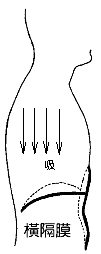 吸横膈膜