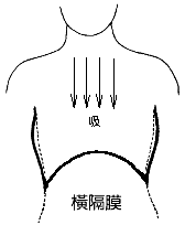 吸横膈膜