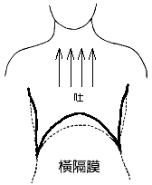 吐横膈膜