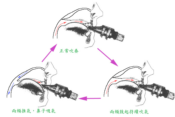 循环换气法 - 特殊演奏技巧