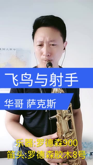 萨克斯演奏-飞鸟与射手