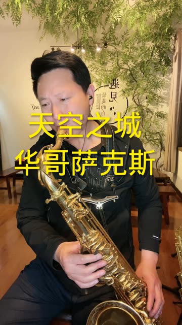 萨克斯演奏-天空之城